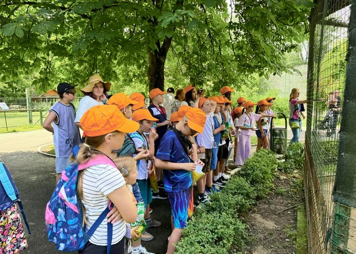 475864964_594538373355099_3126218651506768661_n