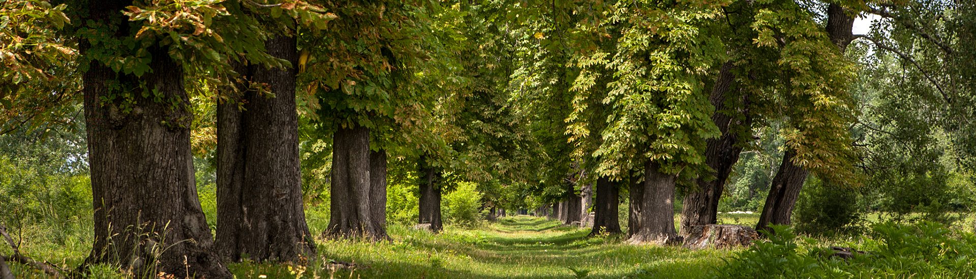 cover-Parc-Vanatoare